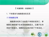 人教版 (新課標)高中生物 必修1 6-3《細胞的衰老和凋亡》復習課件