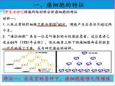 人教版 (新課標(biāo))高中生物 必修1 6-4《細(xì)胞的癌變》課件