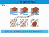 人教版 (新課標(biāo))高中生物 必修1 6-4《細(xì)胞的癌變》課件