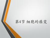人教版 (新課標(biāo))高中生物 必修1 6-4《細(xì)胞的癌變》課件