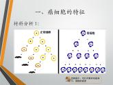 人教版 (新課標(biāo))高中生物 必修1 6-4《細(xì)胞的癌變》課件
