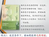 人教版 (新課標(biāo))高中生物 必修1 6-4《細(xì)胞的癌變》課件