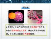 人教版 (新課標(biāo))高中生物 必修1 6-4《細(xì)胞的癌變》課件