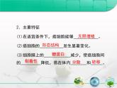 人教版 (新課標(biāo))高中生物 必修1 6-4《細(xì)胞的癌變》復(fù)習(xí)課件