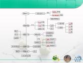 人教版 (新課標(biāo))高中生物 必修1 第六章《細(xì)胞的生命歷程》復(fù)習(xí)課件