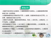 人教版 (新課標(biāo))高中生物 必修1 第六章《細(xì)胞的生命歷程》復(fù)習(xí)課件