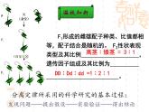 人教版 (新課標(biāo))高中生物 必修2 1-2《孟德爾的豌豆雜交實驗（二）》（第1課時）公課件