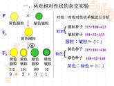 人教版 (新課標(biāo))高中生物 必修2 1-2《孟德爾的豌豆雜交實驗（二）》（第1課時）公課件