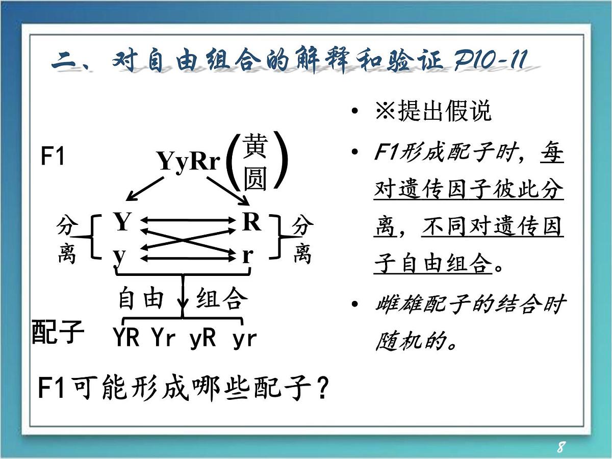 人教版 (新课标)高中生物 必修2 1-2《孟德尔的豌豆杂交实验（二）》（第1课时）课件第8页