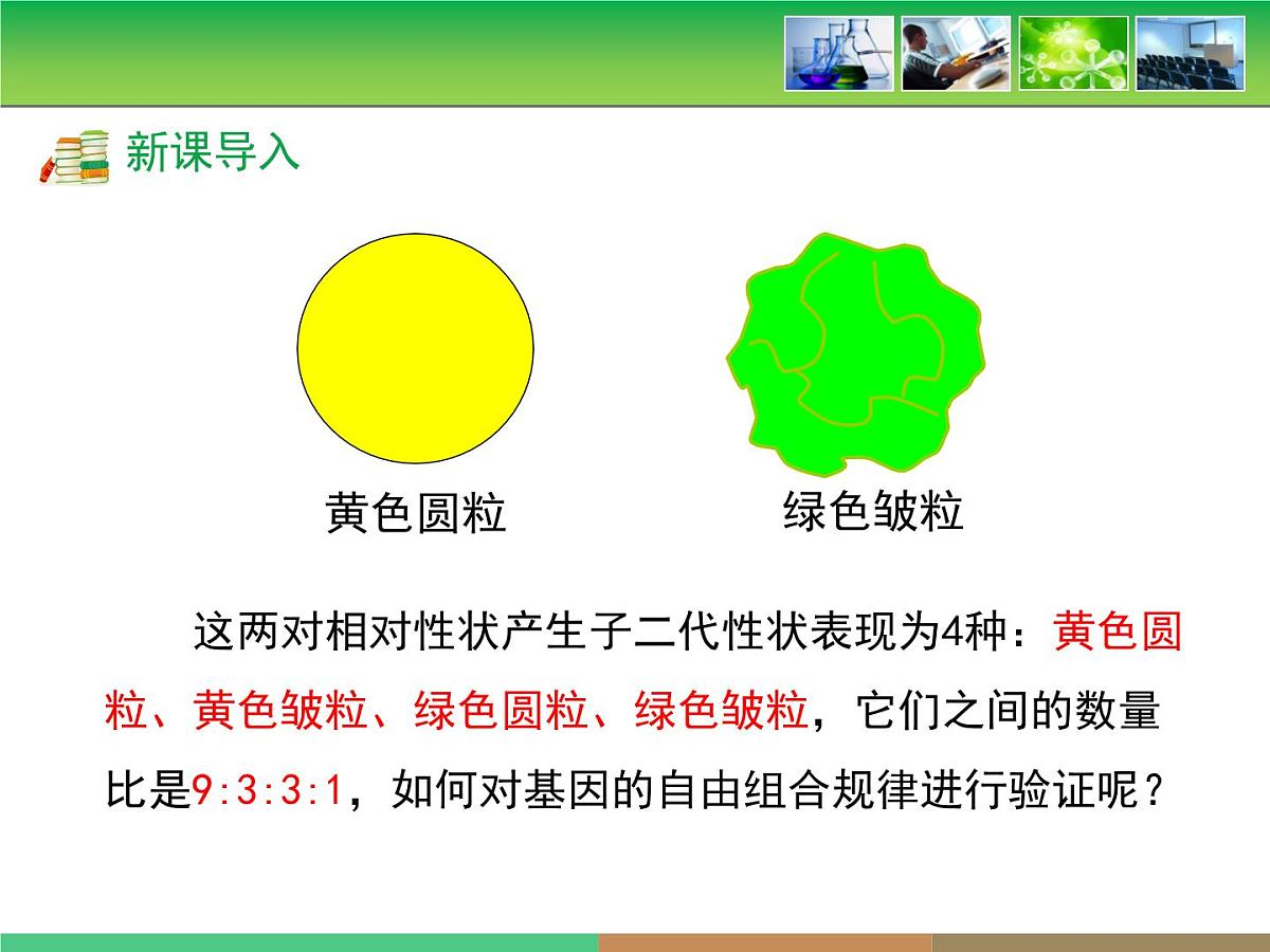 人教版 (新课标)高中生物 必修2 1-2《孟德尔的豌豆杂交实验（二）》第2课时教学课件第3页