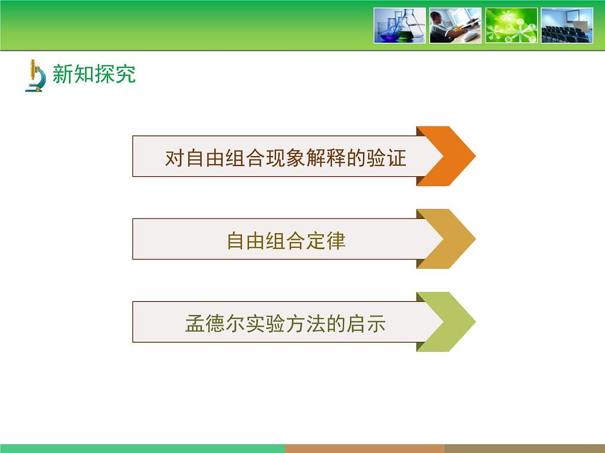 人教版 (新课标)高中生物 必修2 1-2《孟德尔的豌豆杂交实验（二）》第2课时教学课件第5页