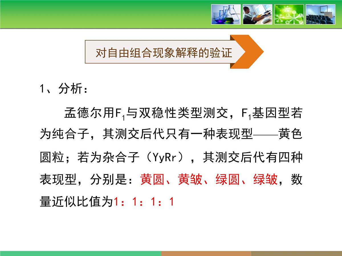 人教版 (新课标)高中生物 必修2 1-2《孟德尔的豌豆杂交实验（二）》第2课时教学课件第6页
