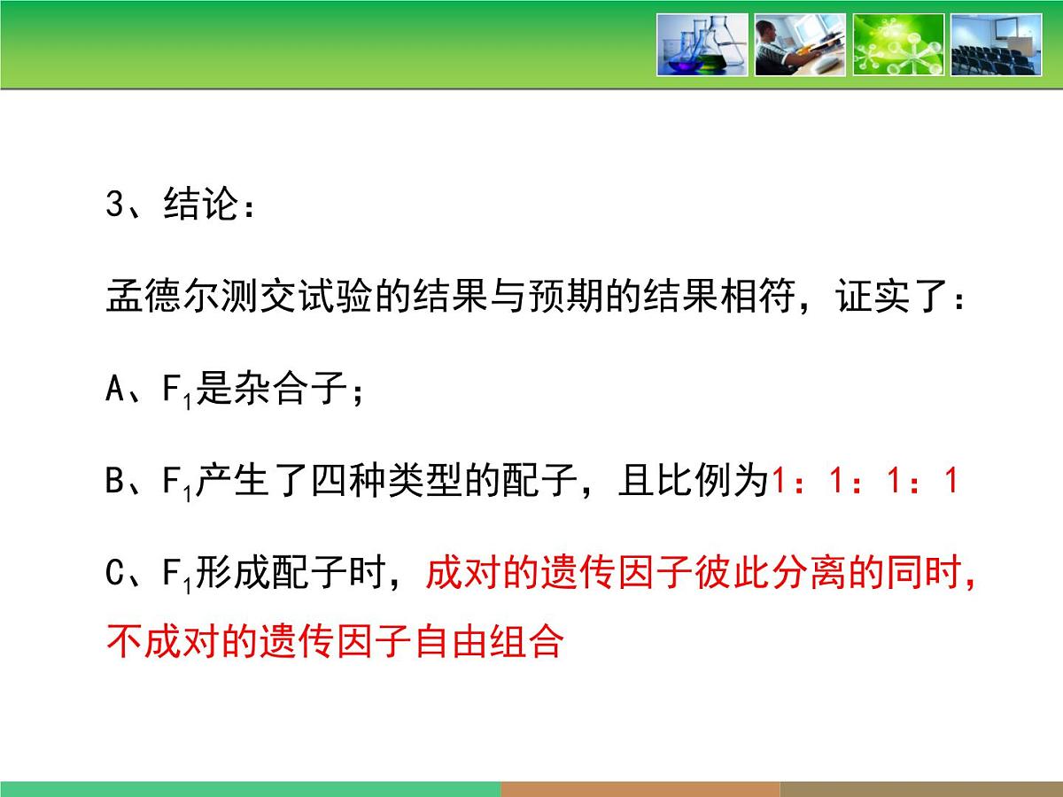 人教版 (新课标)高中生物 必修2 1-2《孟德尔的豌豆杂交实验（二）》第2课时教学课件第8页