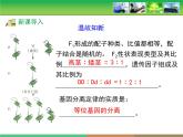 人教版 (新課標(biāo))高中生物 必修2 1-2《孟德爾的豌豆雜交實驗（二）》第1課時教學(xué)課件