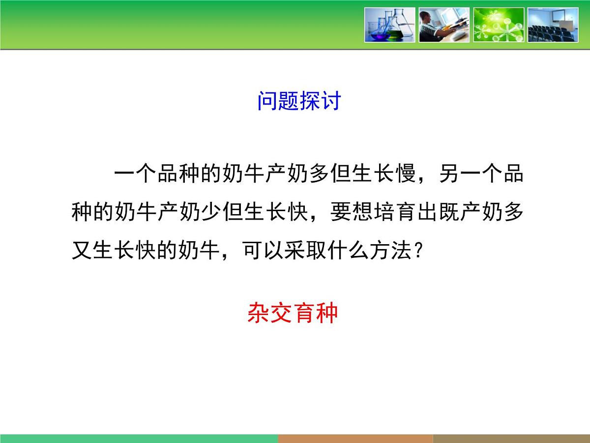 人教版 (新课标)高中生物 必修2 1-2《孟德尔的豌豆杂交实验（二）》第1课时教学课件第4页