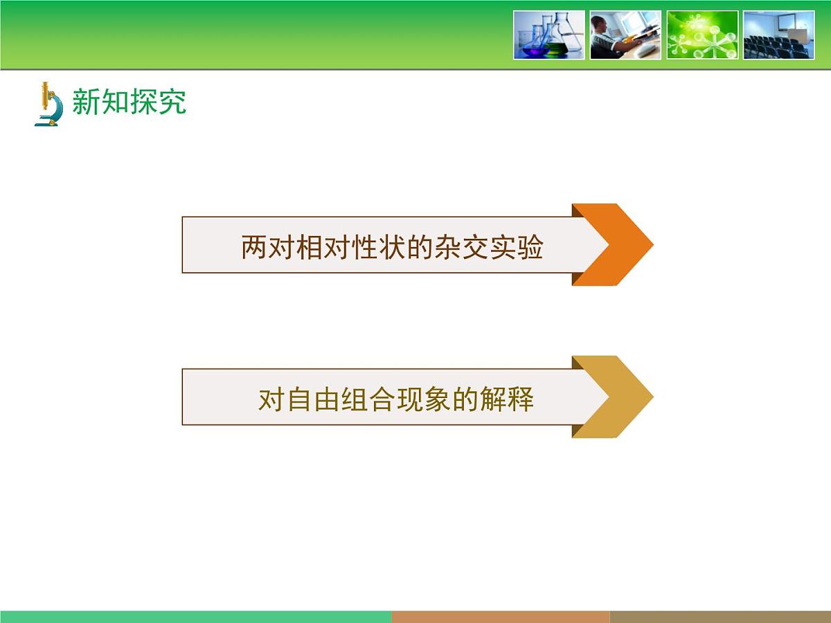 人教版 (新课标)高中生物 必修2 1-2《孟德尔的豌豆杂交实验（二）》第1课时教学课件第6页