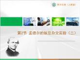 人教版 (新課標(biāo))高中生物 必修2 1-2《孟德爾的豌豆雜交實驗（二）》復(fù)習(xí)課件