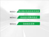 人教版 (新課標(biāo))高中生物 必修2 1-2《孟德爾的豌豆雜交實驗（二）》復(fù)習(xí)課件