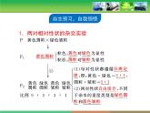 人教版 (新課標(biāo))高中生物 必修2 1-2《孟德爾的豌豆雜交實驗（二）》復(fù)習(xí)課件