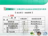 人教版 (新課標)高中生物 必修2 第一章《遺傳因子的發(fā)現(xiàn)》復習課件