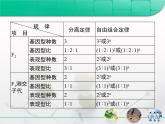 人教版 (新課標)高中生物 必修2 第一章《遺傳因子的發(fā)現(xiàn)》復習課件