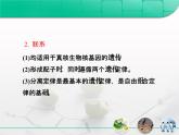 人教版 (新課標)高中生物 必修2 第一章《遺傳因子的發(fā)現(xiàn)》復習課件
