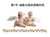 人教版 (新課標(biāo))高中生物 必修2 2-1《減數(shù)分裂和受精作用》（第2課時(shí)）課件
