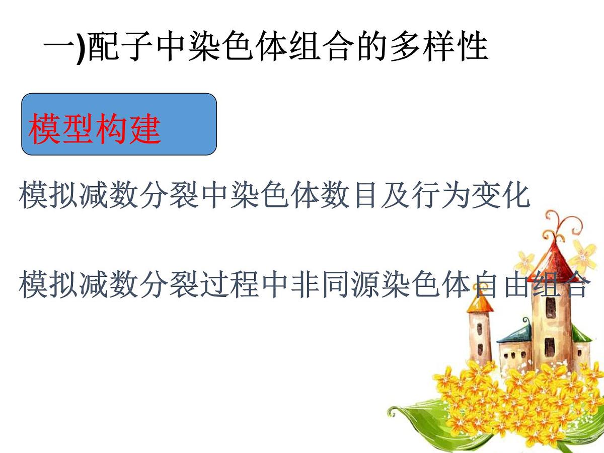人教版 (新课标)高中生物 必修2 2-1《减数分裂和受精作用》（第2课时）课件第4页
