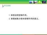 人教版 (新課標)高中生物 必修2 2-1《減數(shù)分裂和受精作用》第2課時教學課件