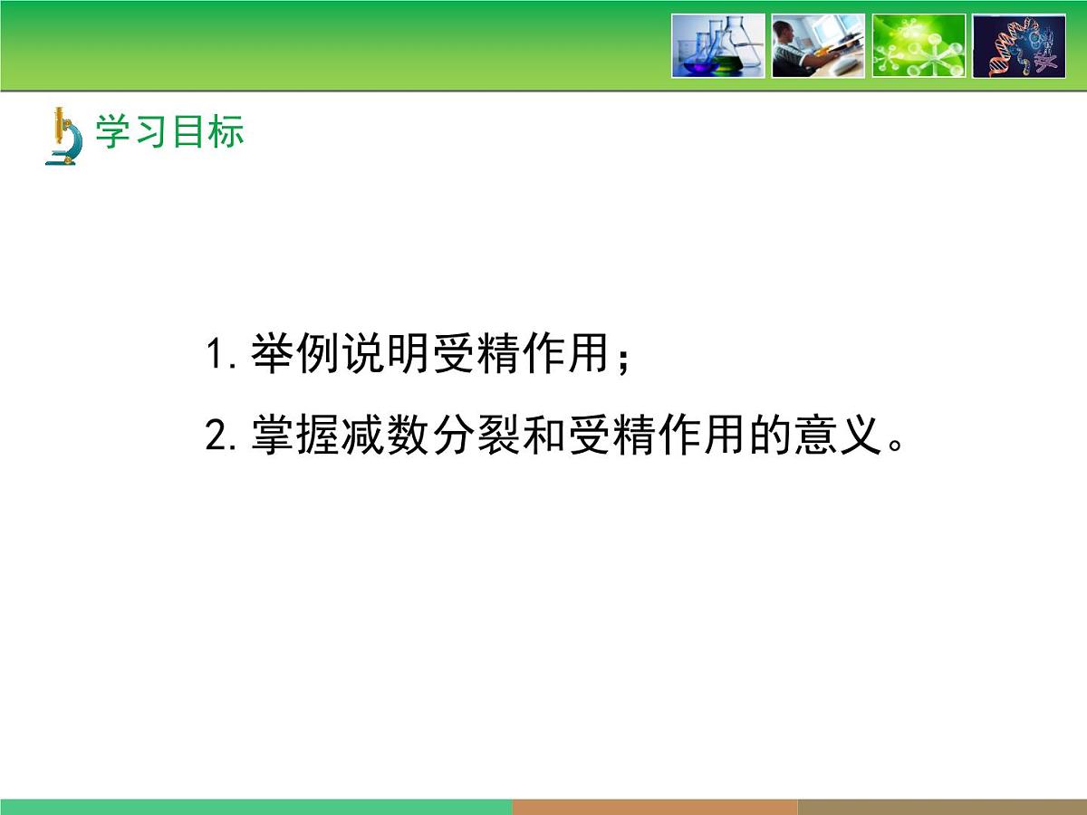 人教版 (新课标)高中生物 必修2 2-1《减数分裂和受精作用》第2课时教学课件第4页