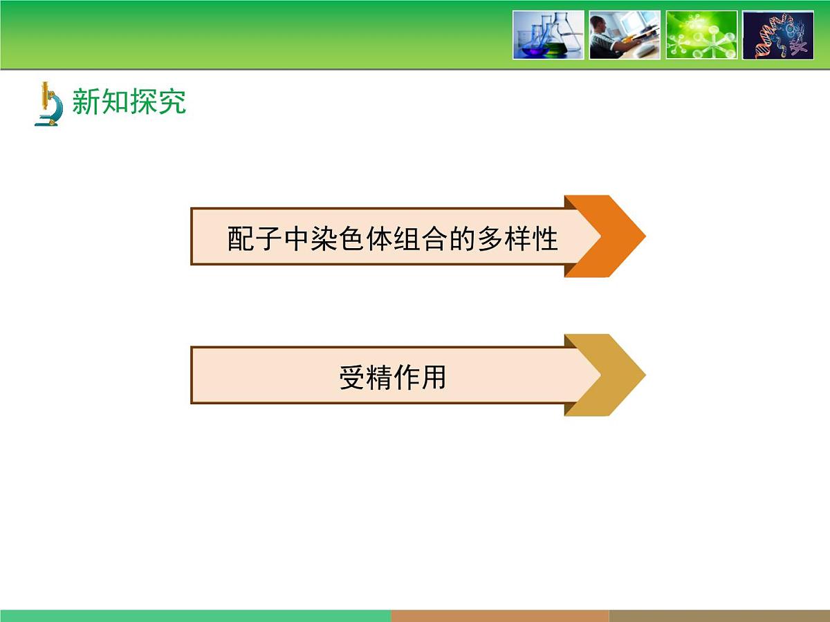 人教版 (新课标)高中生物 必修2 2-1《减数分裂和受精作用》第2课时教学课件第5页