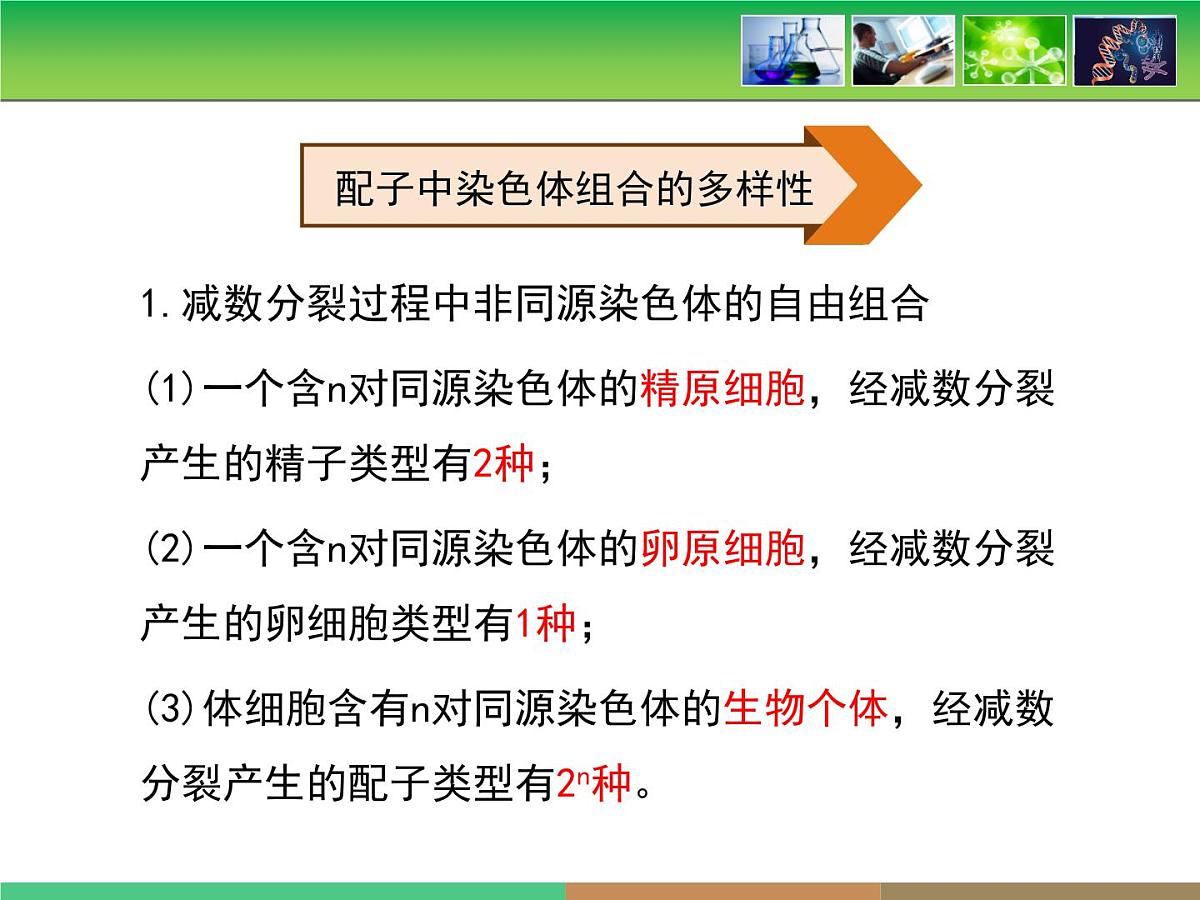 人教版 (新课标)高中生物 必修2 2-1《减数分裂和受精作用》第2课时教学课件第6页