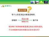 人教版 (新課標)高中生物 必修2 2-1《減數(shù)分裂和受精作用》第1課時教學課件