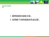 人教版 (新課標)高中生物 必修2 2-1《減數(shù)分裂和受精作用》第1課時教學課件