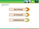 人教版 (新課標)高中生物 必修2 2-1《減數(shù)分裂和受精作用》第1課時教學課件