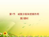 人教版 (新課標)高中生物 必修2 2-1《減數(shù)分裂和受精作用》第2課時復習課件