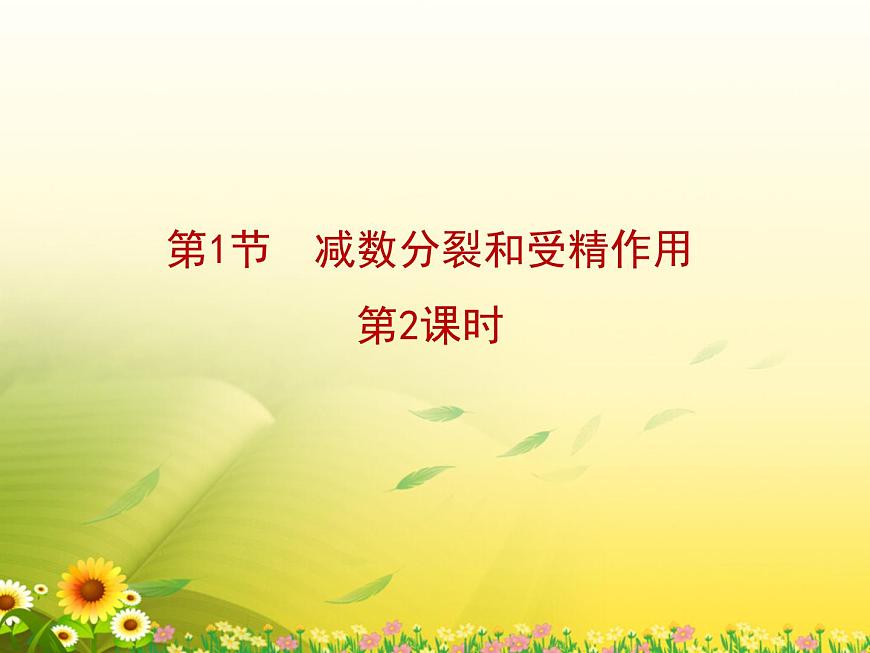 人教版 (新课标)高中生物 必修2 2-1《减数分裂和受精作用》第2课时复习课件第1页