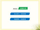 人教版 (新課標)高中生物 必修2 2-1《減數(shù)分裂和受精作用》第2課時復習課件