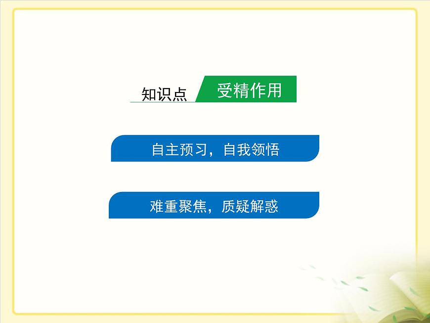 人教版 (新课标)高中生物 必修2 2-1《减数分裂和受精作用》第2课时复习课件第2页