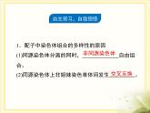 人教版 (新課標)高中生物 必修2 2-1《減數(shù)分裂和受精作用》第2課時復習課件
