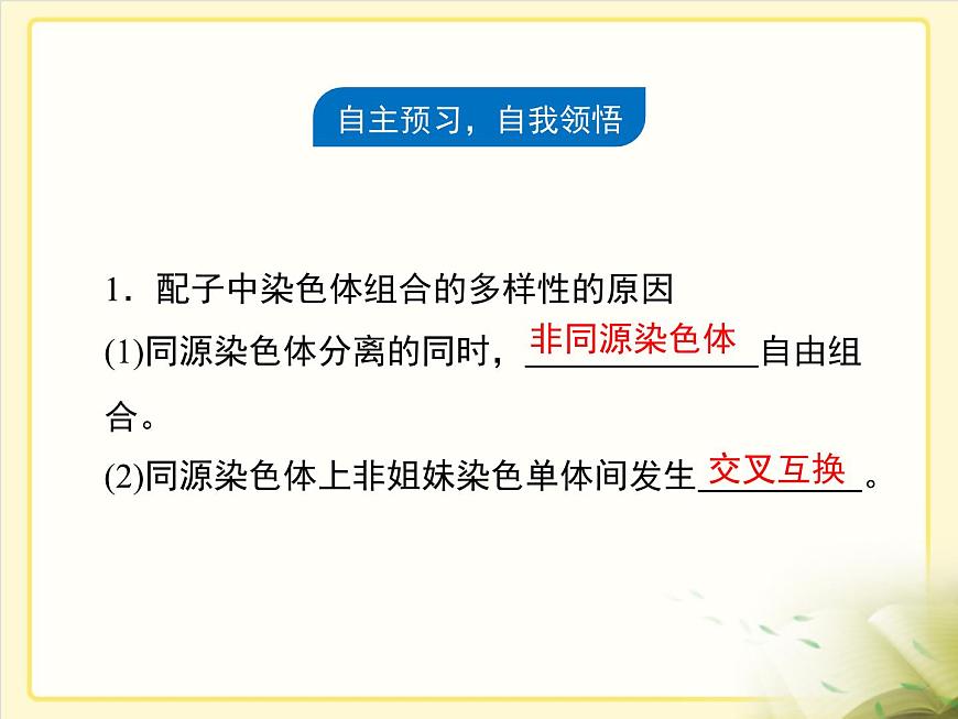 人教版 (新课标)高中生物 必修2 2-1《减数分裂和受精作用》第2课时复习课件第3页
