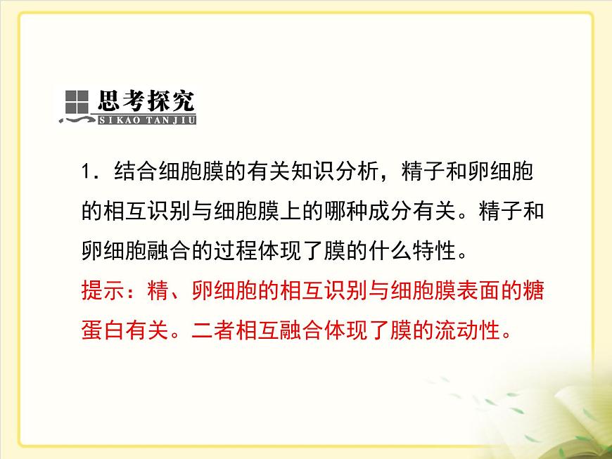 人教版 (新课标)高中生物 必修2 2-1《减数分裂和受精作用》第2课时复习课件第5页