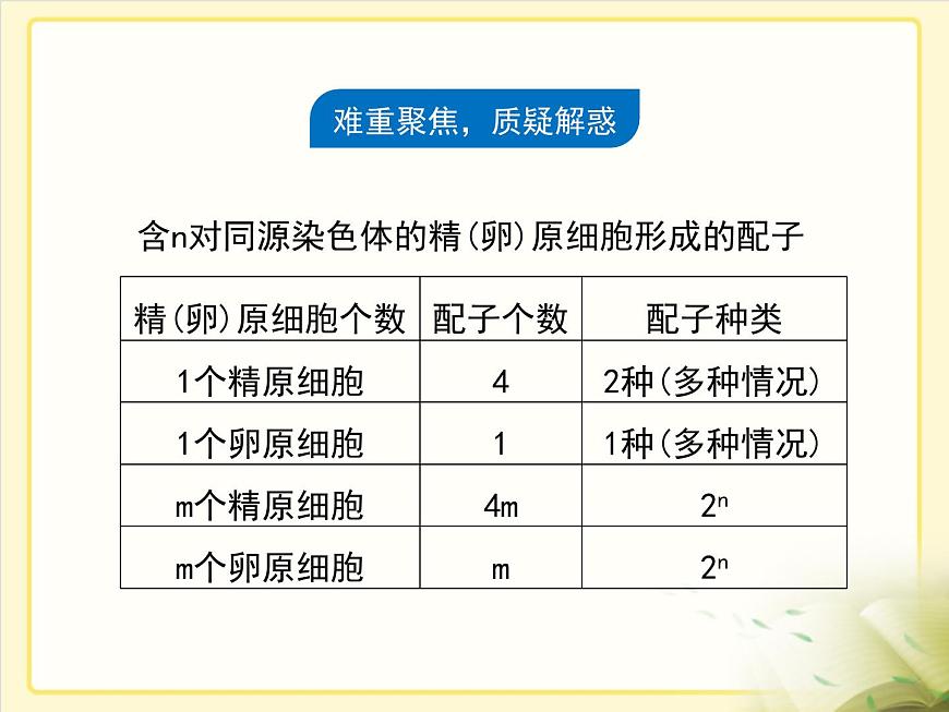 人教版 (新课标)高中生物 必修2 2-1《减数分裂和受精作用》第2课时复习课件第7页