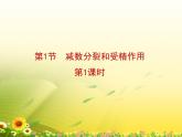 人教版 (新課標(biāo))高中生物 必修2 2-1《減數(shù)分裂和受精作用》第1課時(shí)復(fù)習(xí)課件