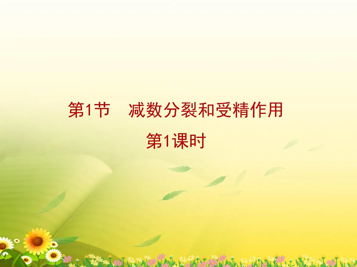 人教版 (新课标)高中生物 必修2 2-1《减数分裂和受精作用》第1课时复习课件第1页