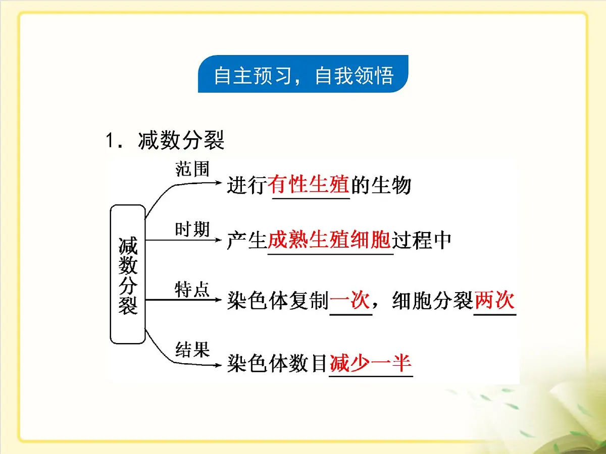 人教版 (新课标)高中生物 必修2 2-1《减数分裂和受精作用》第1课时复习课件第4页
