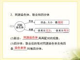 人教版 (新課標(biāo))高中生物 必修2 2-1《減數(shù)分裂和受精作用》第1課時(shí)復(fù)習(xí)課件