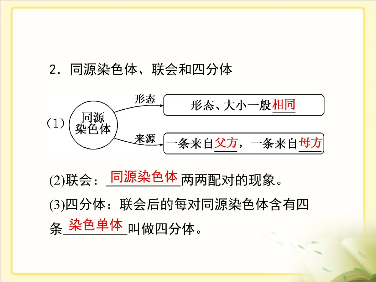 人教版 (新课标)高中生物 必修2 2-1《减数分裂和受精作用》第1课时复习课件第5页