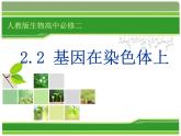 人教版 (新課標(biāo))高中生物 必修2 2-2《基因在染色體上》課件