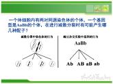 人教版 (新課標(biāo))高中生物 必修2 2-2《基因在染色體上》課件